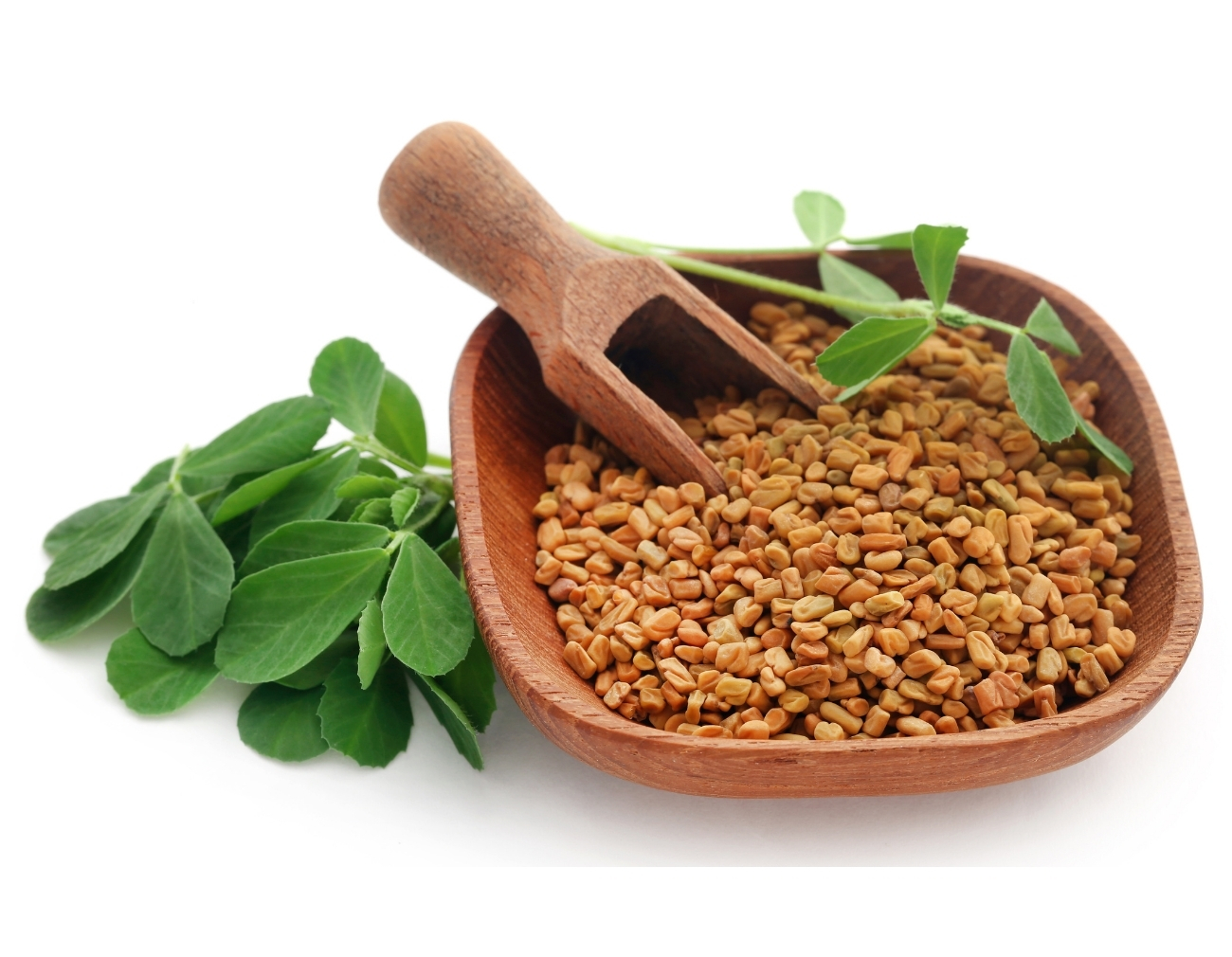 Methi Seeds